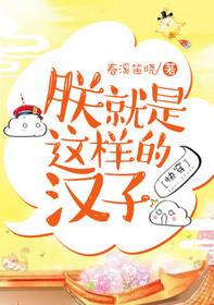 朕就是这样的汉子快穿