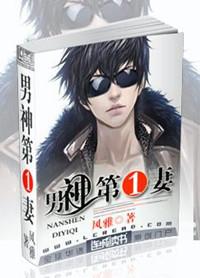 男神第一男妻