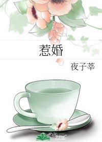 惹婚by夜子莘全文免费阅读