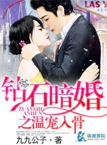 钻石暗婚之温宠入骨免费