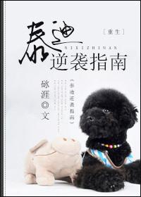 泰迪逆袭指南全文未删减