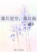 那片星空那片诲
