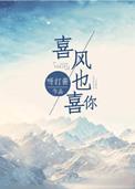 喜风也喜你txt百度