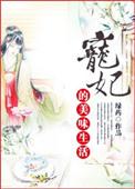 宠妃的奋斗史