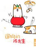 遛狗的陈先生全文免费阅读