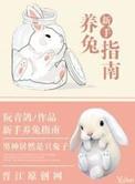 新手养兔指南番外百度