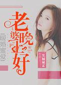 老婆晚上见免费阅读