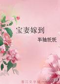 宝妻嫁到各个人物结局