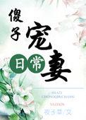 傻子宠妻日常全文