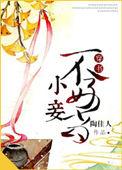 小妾当然不如妻