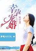 言情幸孕宠妻