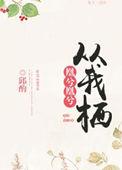 凰兮从我栖txt