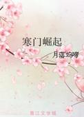 寒门崛起类似
