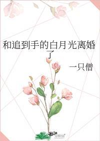和追到手的白月光离婚了免费阅读