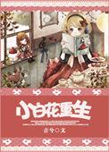 小白花重生类似