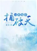 一不小心捅破天苏川