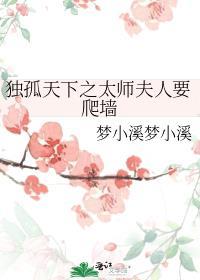 独孤天下太师是什么身份