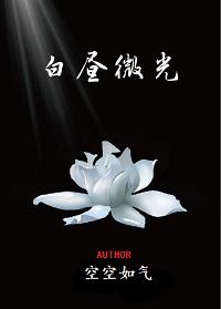 白昼微光TXT百度