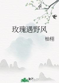 玫瑰遇野风番外免费阅读