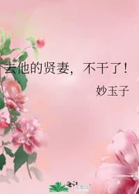 去他的贤妻不干了TXT