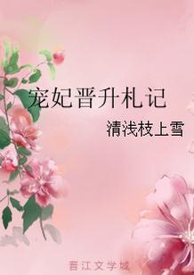 宠妃晋级札记
