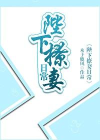 陛下撩妻日常讲的什么