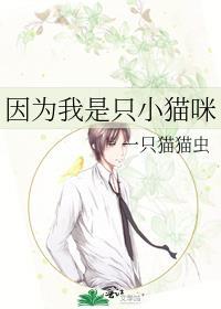 因为我是一只猫