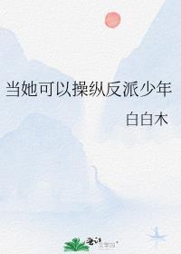 当她可以操纵反派少年txt百度