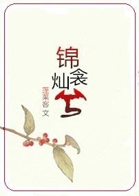 锦衾灿兮 txt