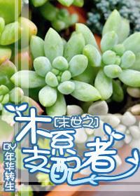 末世重生之木系支配者