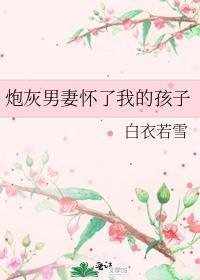 炮灰男妻怀了我的孩子 番外