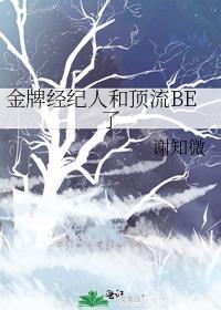 金牌经纪人娱乐圈文