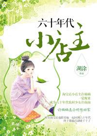 60年代小店主免费阅读