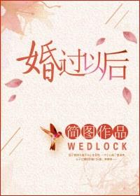 婚过以后免费阅读