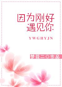 因为刚好遇见你歌词含义