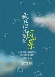 藏在回忆里的风景完整版