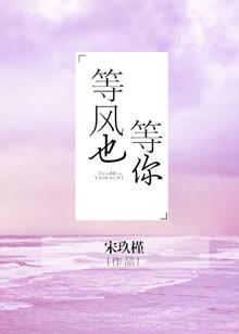 等风也等你短剧