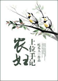 农妇上位手记无防盗