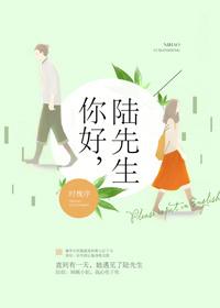 陆先生娱乐圈免费