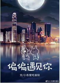 偏偏遇见你太晚是什么歌