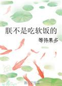 作者朕不是皇上的作品