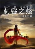 刺客之怒 免费阅读