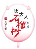 沈大人家的石榴树(重生) 好看吗