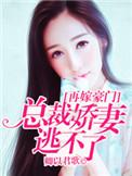 再嫁豪门不嫌晚短剧免费完整