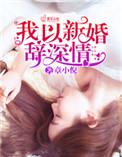 我以新婚辞深情txt