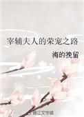 宰辅夫人的荣宠之路笔趣阁