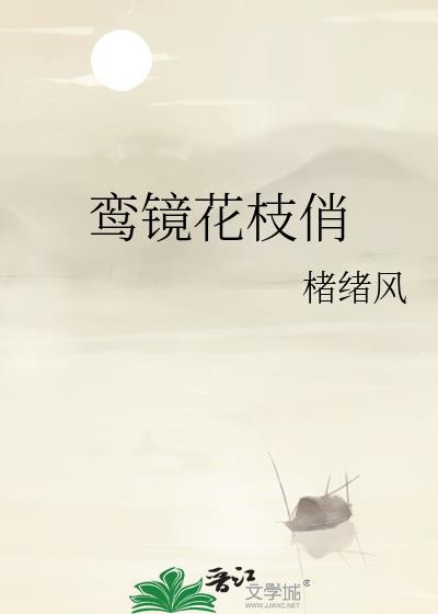 鸾镜颜作品