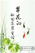 翠花的婚姻生活大结局