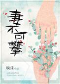 妻不可攀映漾txt盘搜搜