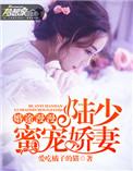 漫漫婚途